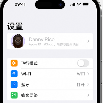 宝坻appleID维修服务iPhone设置中Apple ID显示为灰色无法使用 