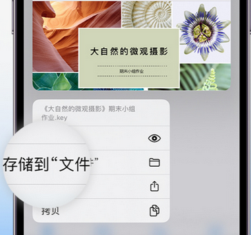 宝坻apple维修中心分享iPhone文件应用中存储和找到下载文件