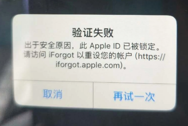 宝坻iPhone维修分享iPhone上正常登录或使用AppleID怎么办 