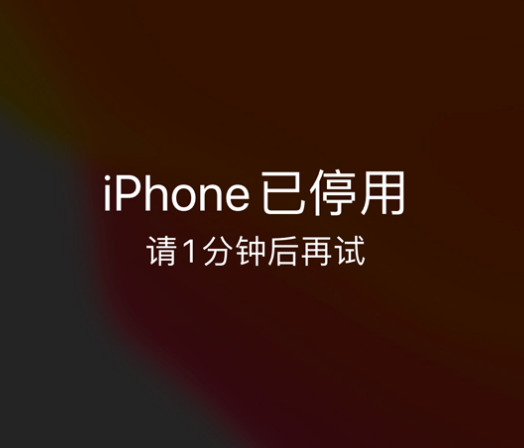 宝坻苹果手机维修分享:iPhone 显示“不可用”或“已停用”怎么办？还能保留数据吗？ 