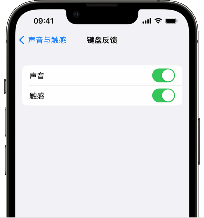 宝坻苹果14维修店分享如何在 iPhone 14 机型中使用触感键盘 