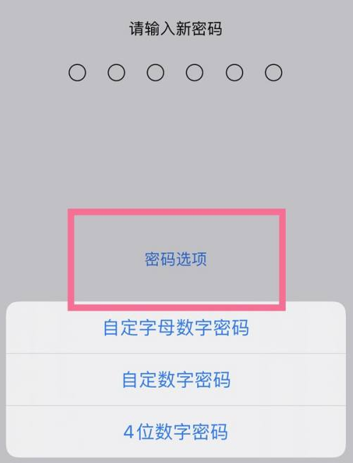 宝坻苹果14维修分享iPhone 14plus设置密码的方法 