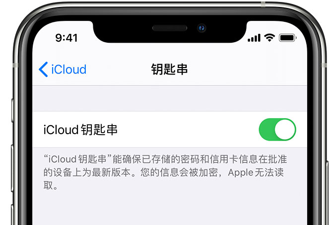 宝坻苹果手机维修分享在 iPhone 上开启 iCloud 钥匙串之后会储存哪些信息 