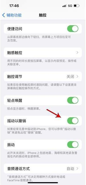 宝坻苹果手机维修分享iPhone手机如何设置摇一摇删除文字 