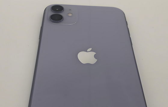 宝坻苹果11系统维修分享iPhone11手机系统崩溃无法开机如何解决 
