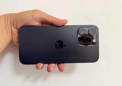 宝坻苹果维修点分享iPhone 14 Pro Max黑屏少见故障盘点 